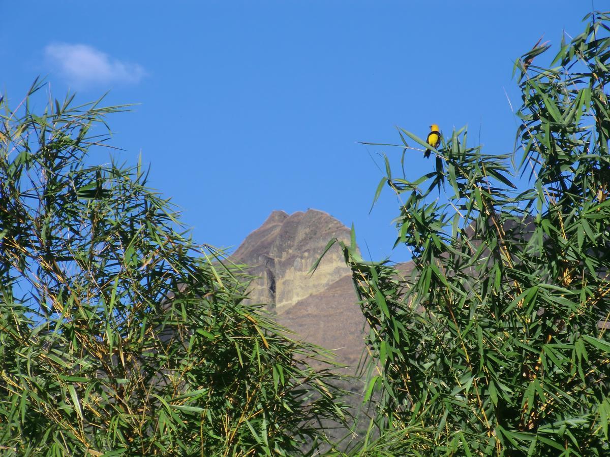 Le Rendez-Vous Hostal Guesthouse Vilcabamba Buitenkant foto