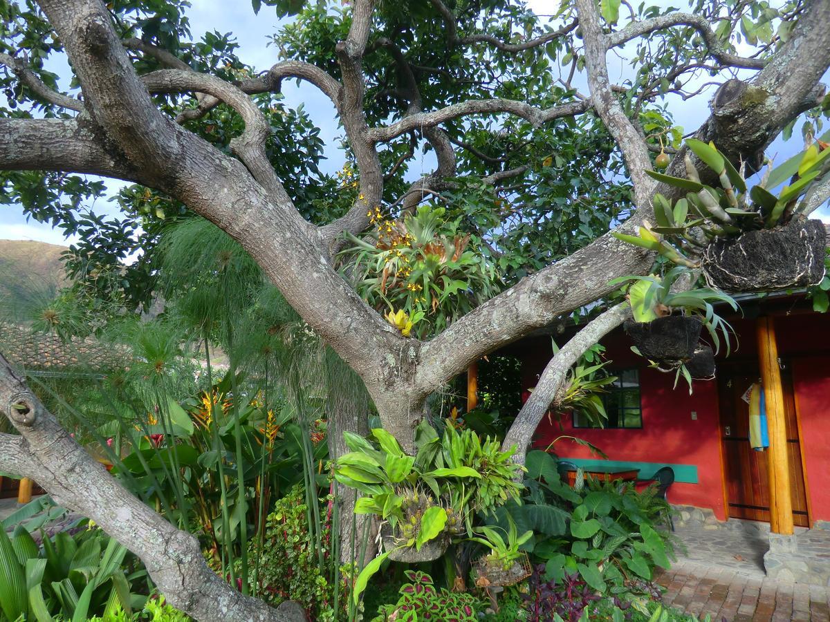 Le Rendez-Vous Hostal Guesthouse Vilcabamba Buitenkant foto