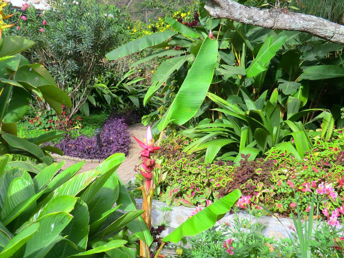 Le Rendez-Vous Hostal Guesthouse Vilcabamba Buitenkant foto