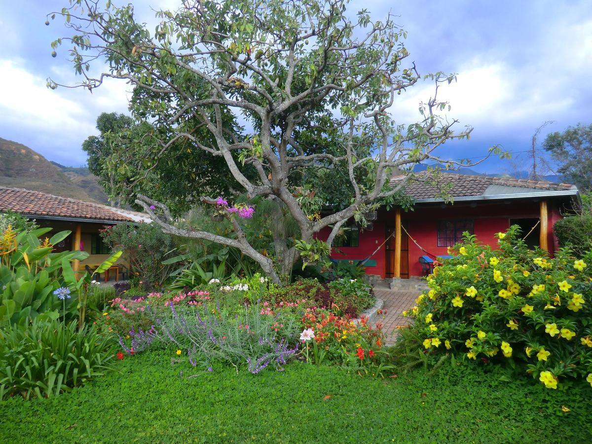 Le Rendez-Vous Hostal Guesthouse Vilcabamba Buitenkant foto