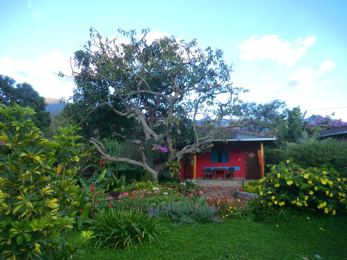 Le Rendez-Vous Hostal Guesthouse Vilcabamba Buitenkant foto