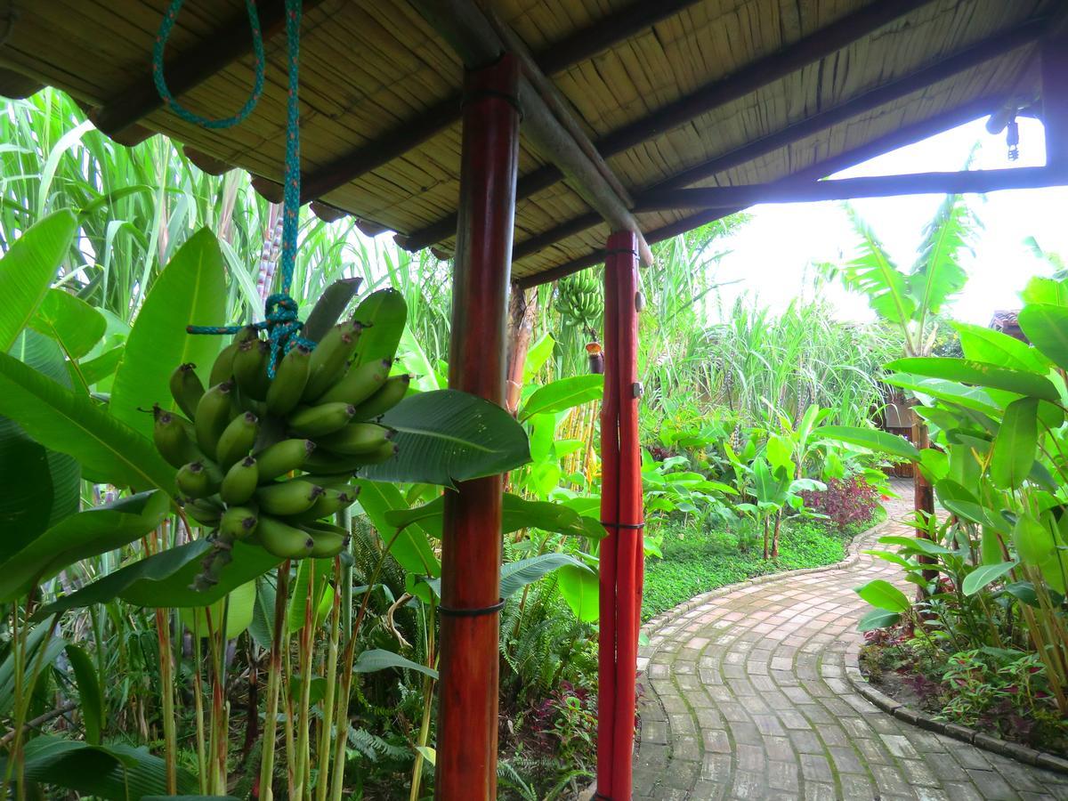 Le Rendez-Vous Hostal Guesthouse Vilcabamba Buitenkant foto