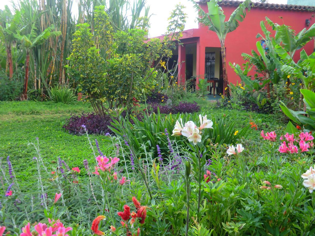 Le Rendez-Vous Hostal Guesthouse Vilcabamba Buitenkant foto