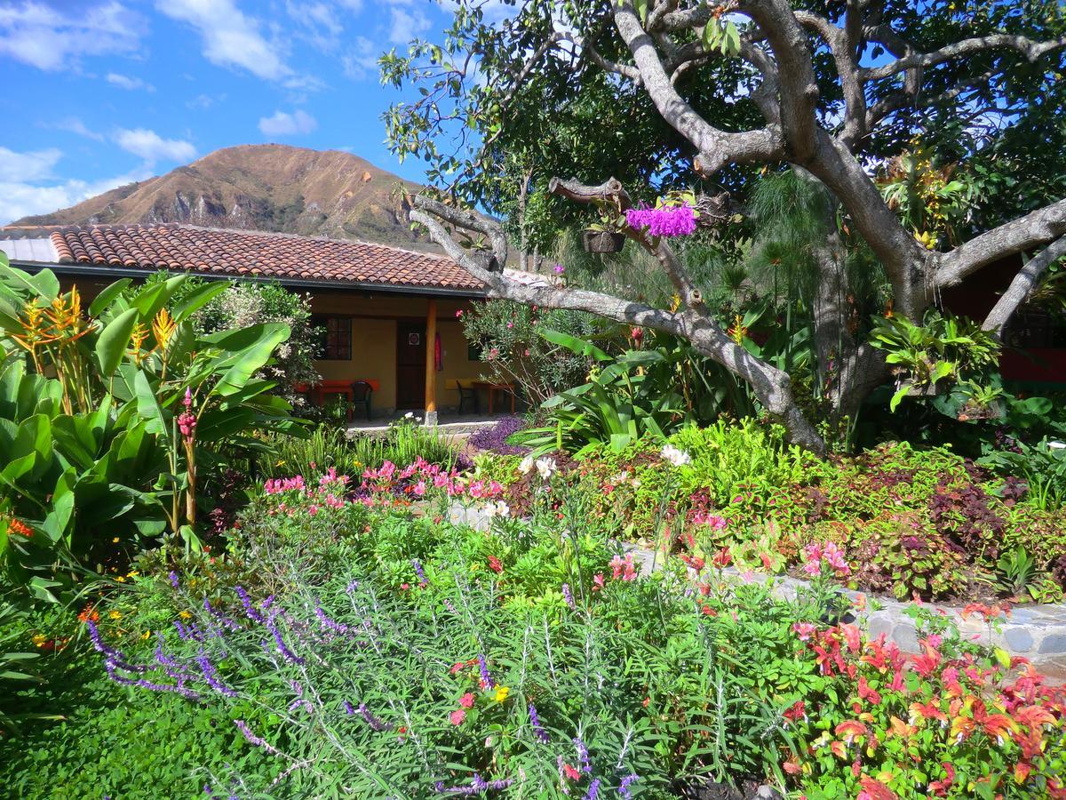 Le Rendez-Vous Hostal Guesthouse Vilcabamba Buitenkant foto