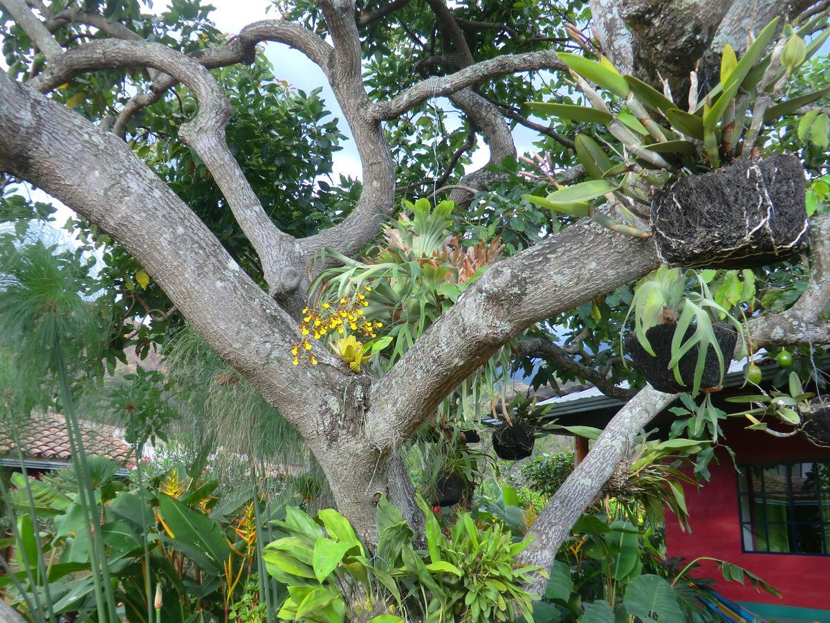 Le Rendez-Vous Hostal Guesthouse Vilcabamba Buitenkant foto